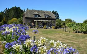 Ddog Vineyard & Bnb
