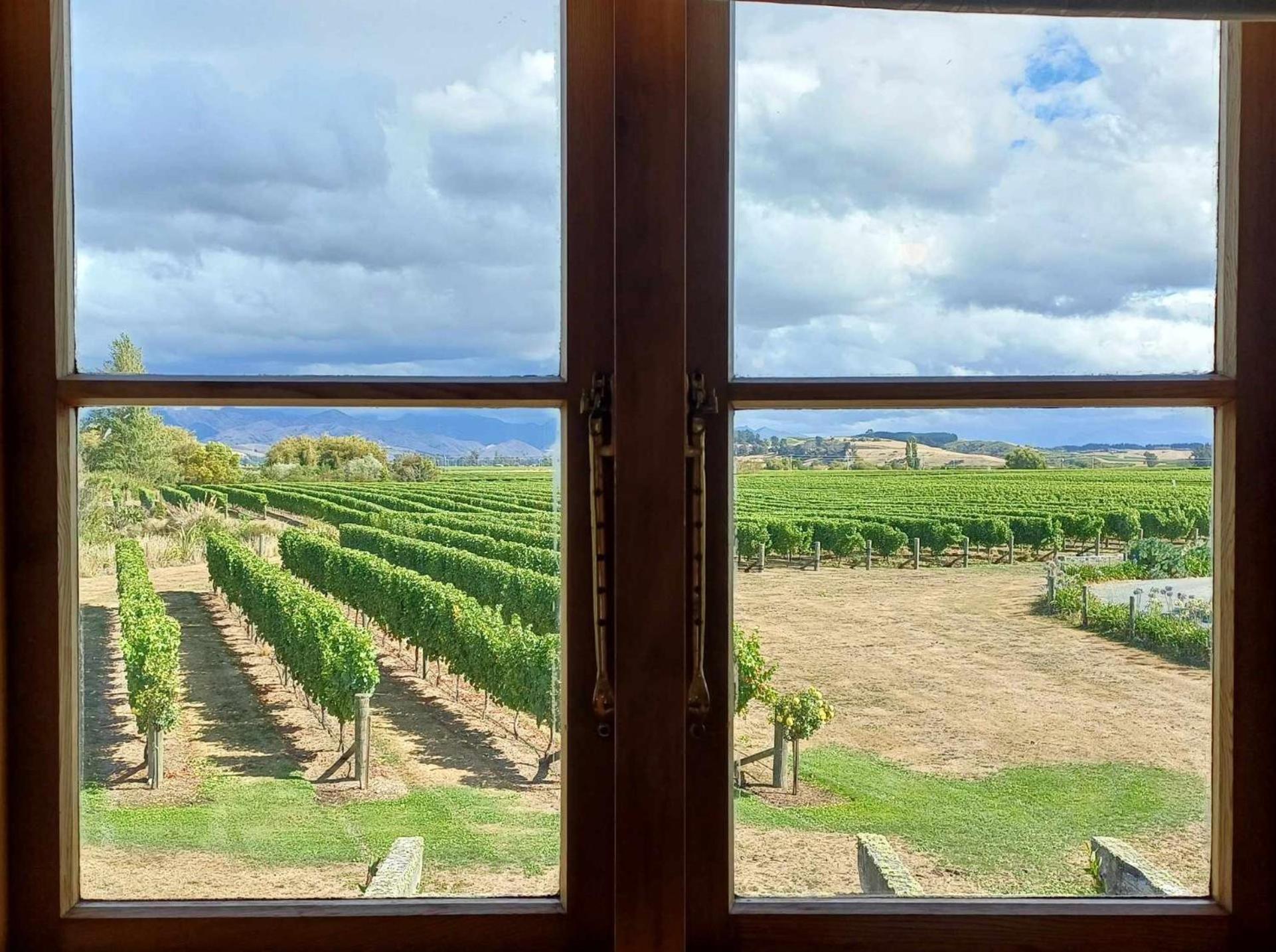 Ddog Vineyard & Bnb Renwick Exterior photo